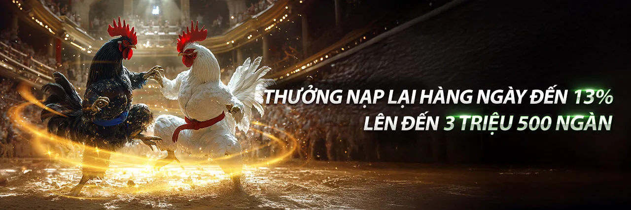 Tuân thủ GDPR và bảo mật dữ liệu tại Viva88net