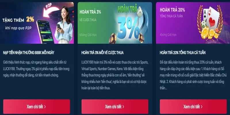 Cài đặt hồ sơ cấu hình Viva88net